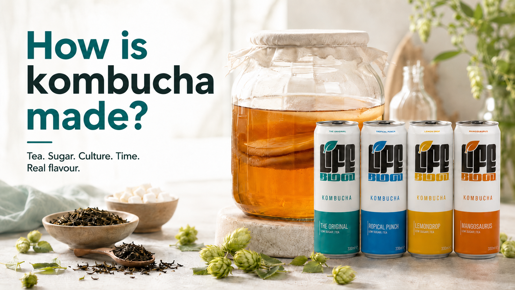 Life Blood kombucha can with the question, how is kombucha actually made